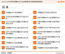2025年全球可穿戴手艺行业规模约940亿美元